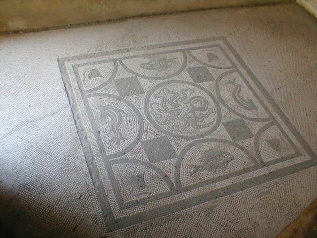 IX.8.6 Pompeii. September 2004. Room 33, mosaic floor.