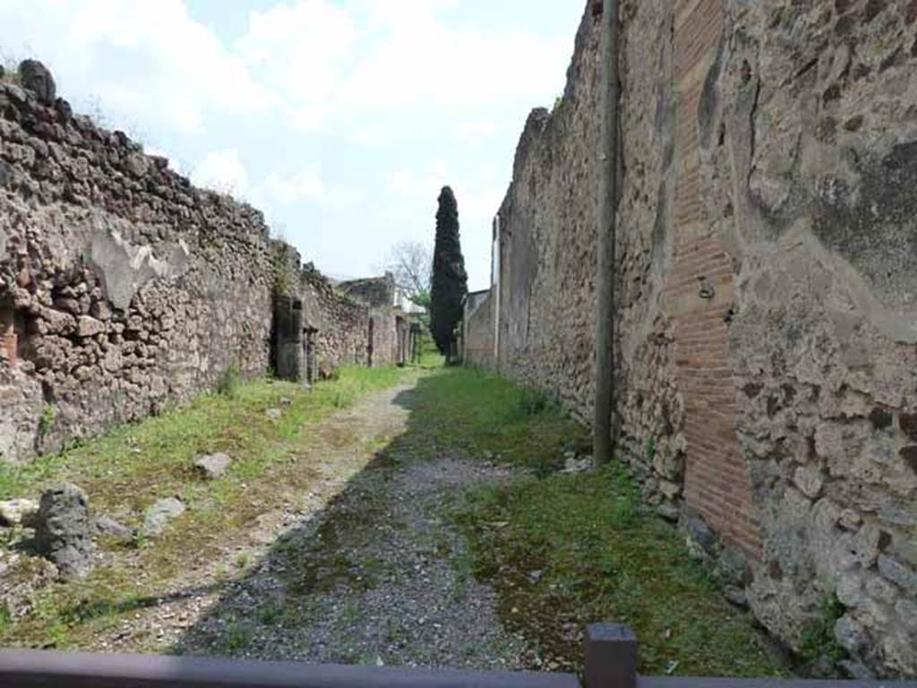 IX.9.1 Pompeii, (side wall)  May 2010.  Roadway, looking south.              Side wall of IX.8
