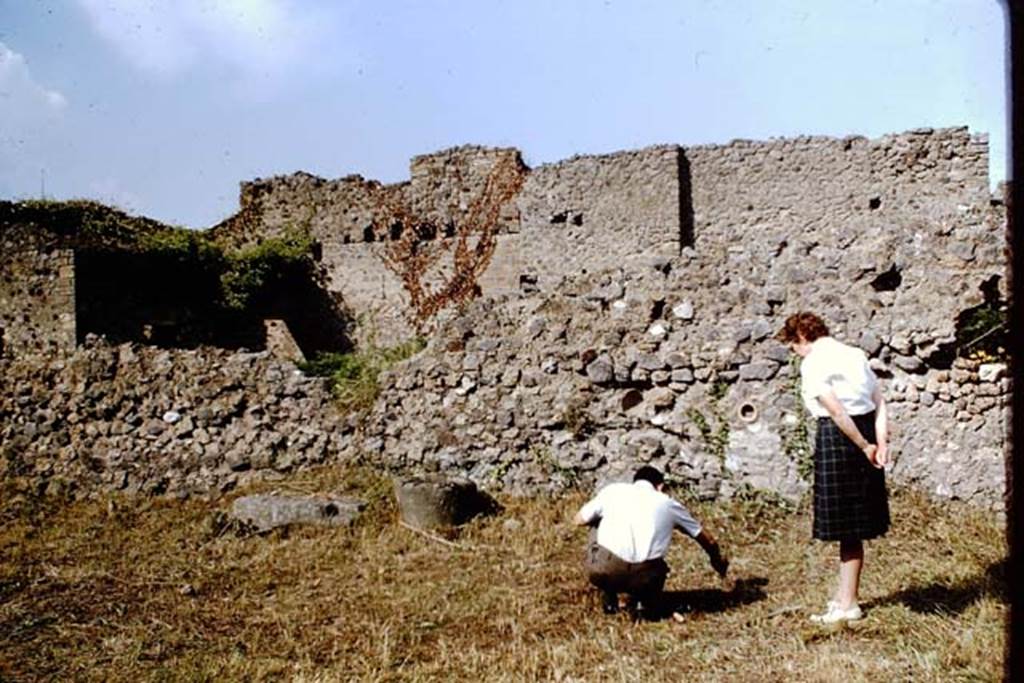 IX.9.6/10 Pompeii. 1964. West side of garden area. Photo by Stanley A. Jashemski.
Source: The Wilhelmina and Stanley A. Jashemski archive in the University of Maryland Library, Special Collections (See collection page) and made available under the Creative Commons Attribution-Non Commercial License v.4. See Licence and use details.
J64f1240
