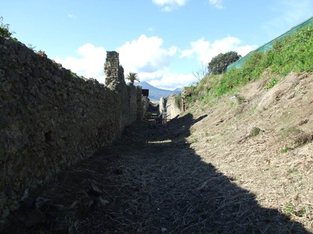 IX.9.10 Pompeii.  March 2009.  Roadway looking north to Via Nola.