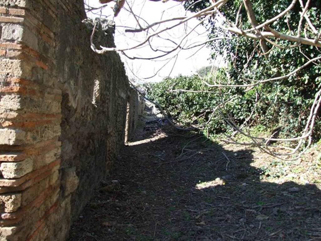 IX.9.12 Pompeii. March 2009. Small vicolo, looking north from entrance..