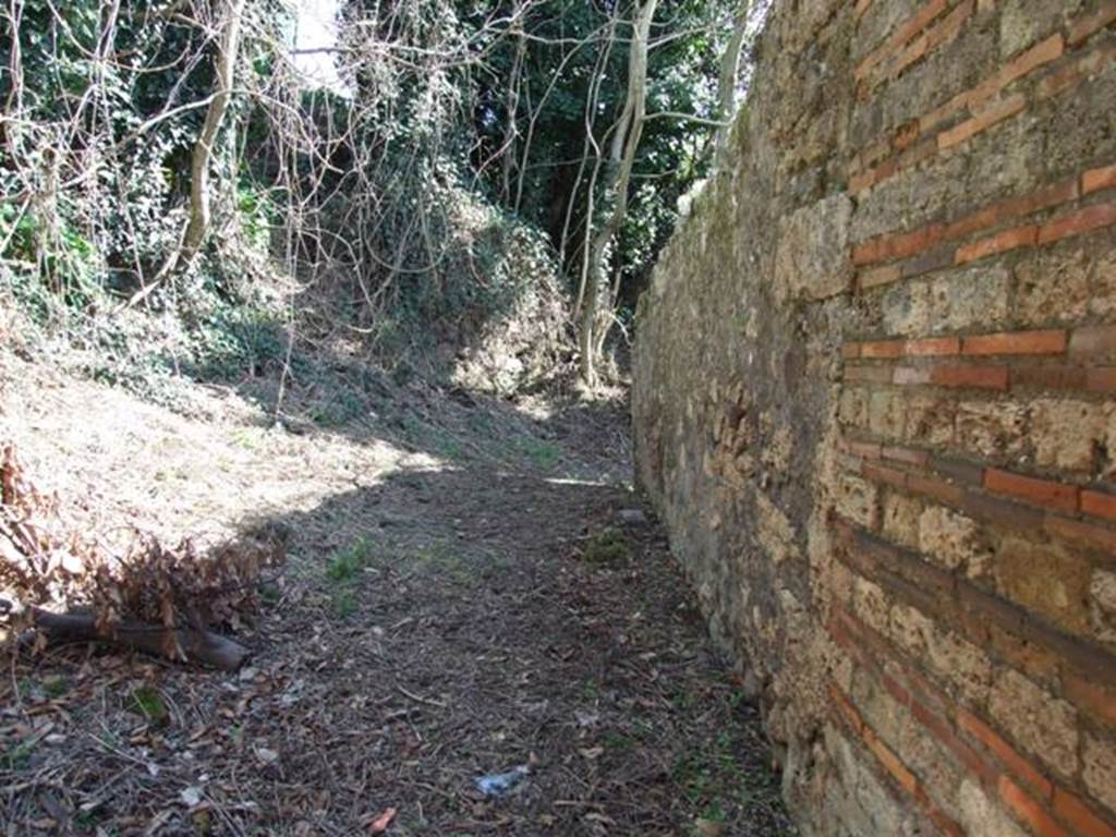 IX.9.12 Pompeii. March 2009. Small vicolo, looking south from entrance..