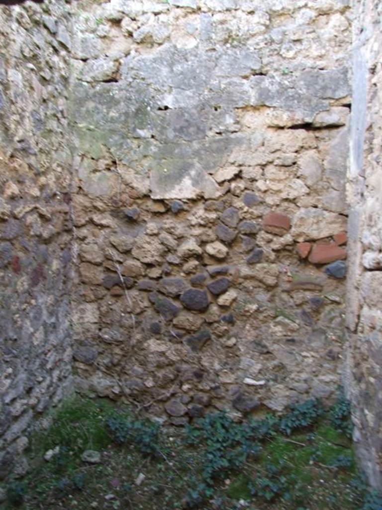 IX.9.13 Pompeii.  March 2009.  Room 10. Latrine. South wall.