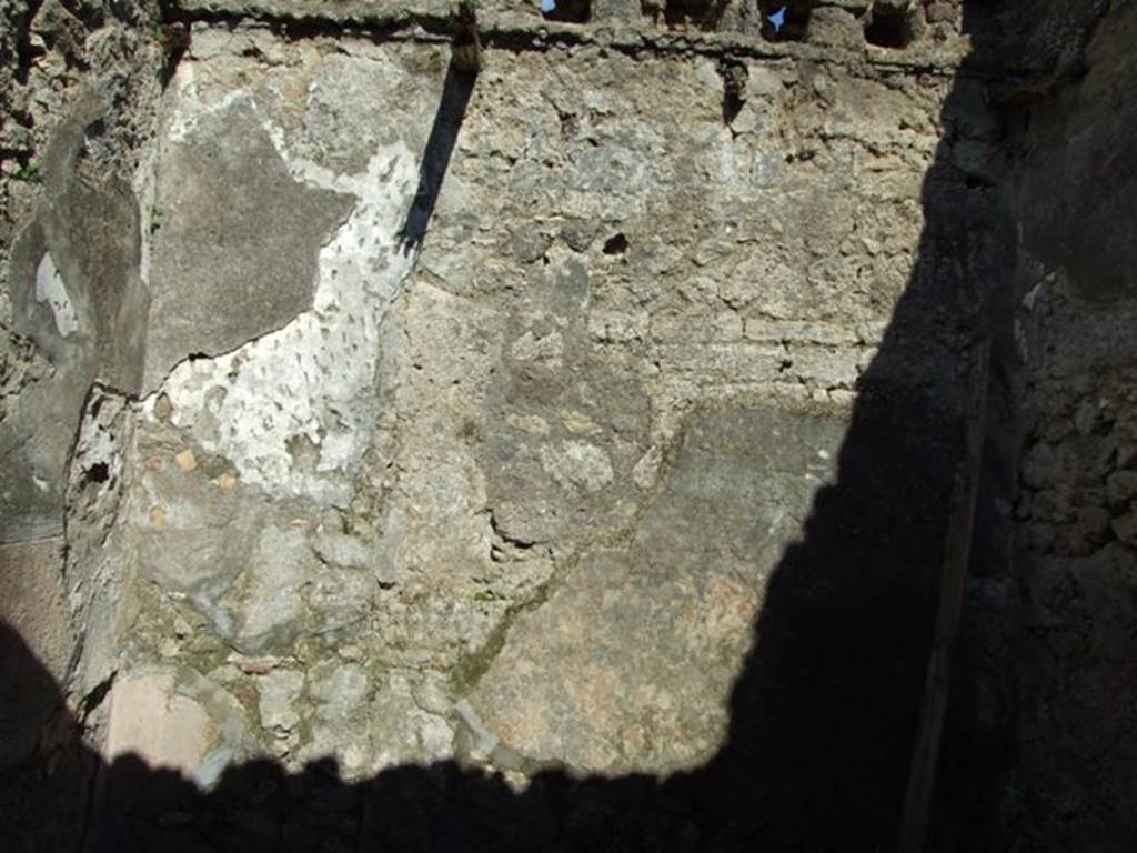 IX.9.f Pompeii.  March 2009. Tablinum (or Triclinium?).  East wall.