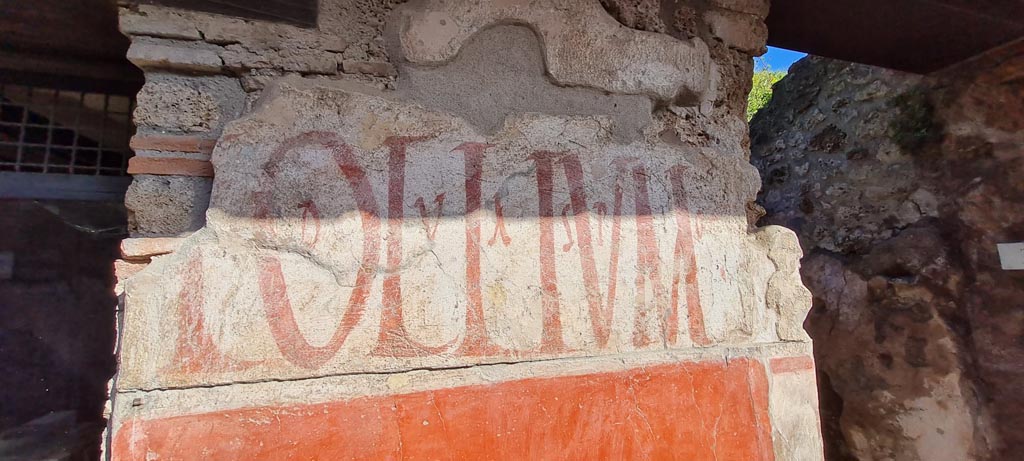 IX.11.2 and IX.11.3 Pompeii. May 2017. Graffiti between entrances 2 and 3. Photo courtesy of Buzz Ferebee.
