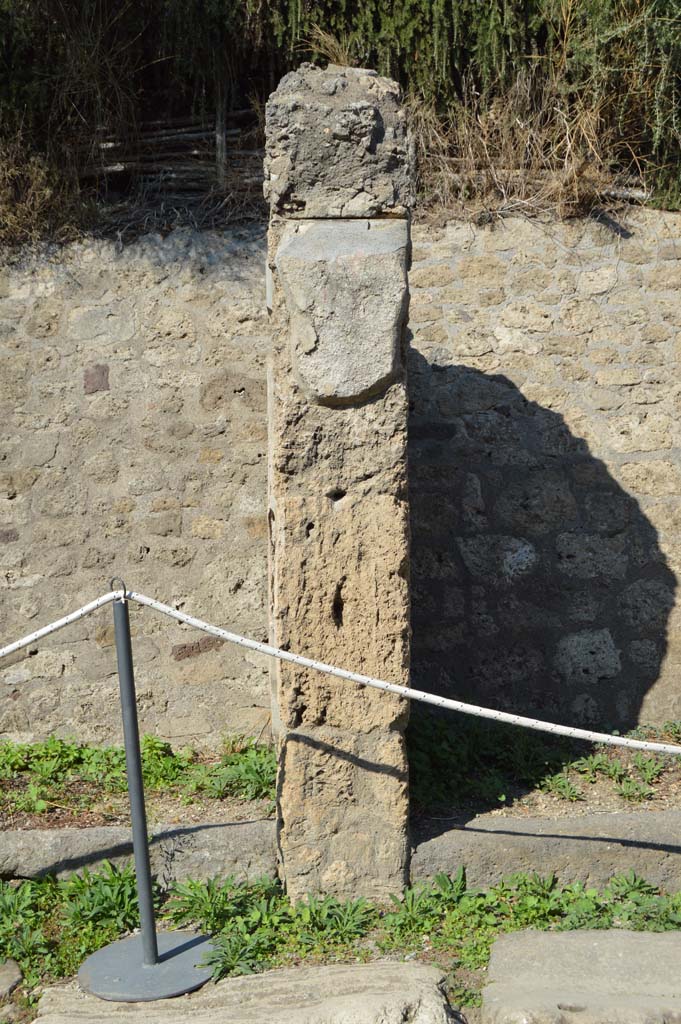 IX.11.7 Pompeii. October 2017. 
Looking north towards pillar on west (lfet) side of entrance doorway.
Foto Taylor Lauritsen, ERC Grant 681269 DÉCOR.
