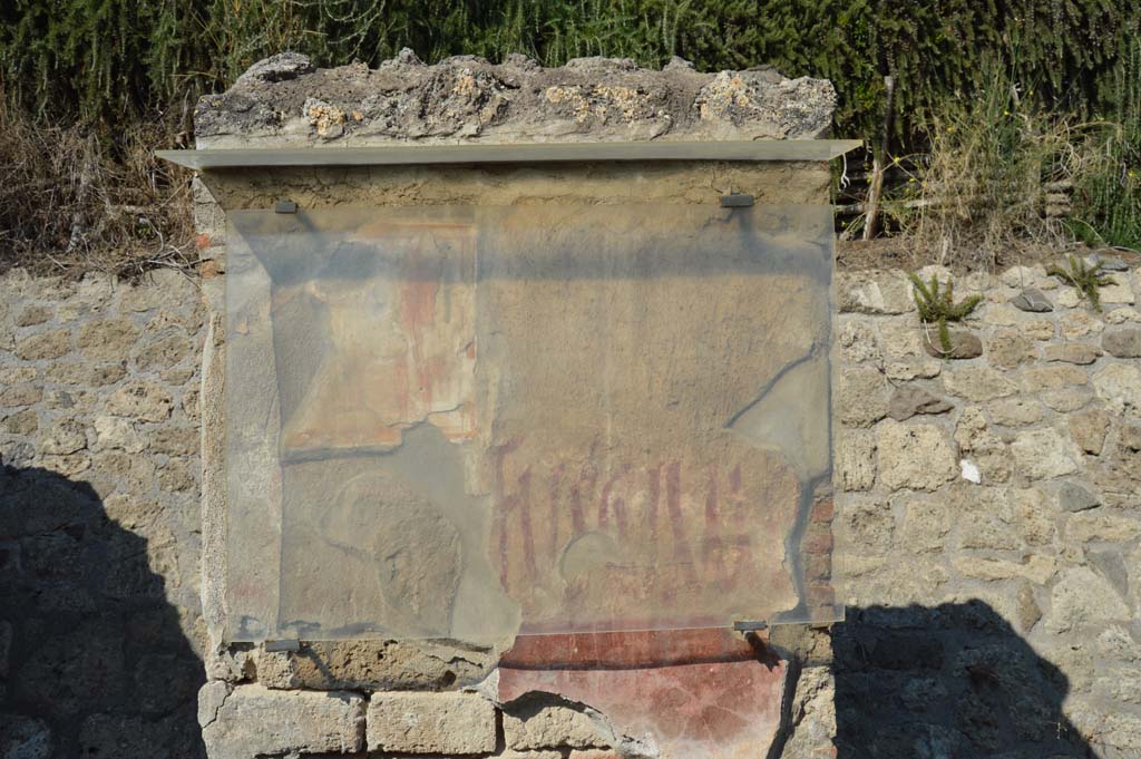 IX.11.7 Pompeii. October 2017. 
Pilaster on east side (right) of doorway, with remaining painting of Hercules and graffiti between doorways to IX.11.7 and IX.11.8. 
Foto Taylor Lauritsen, ERC Grant 681269 DÉCOR.

