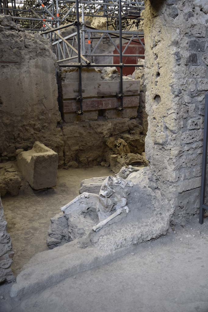 IX.12.8 Pompeii. February 2017. 
Skeleton of a mule or donkey, lying in the doorway of the stable. Photo courtesy of Johannes Eber.
