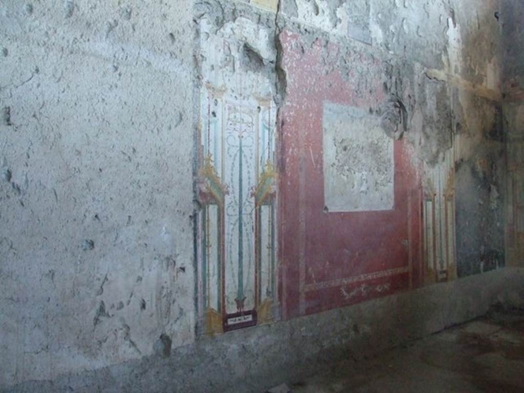 IX.12.9 Pompeii. March 2009. Room 16, north wall. The unfinished north wall in the oecus or large sitting room. The central panel of the wall contains only a traced outline of a scene that has not yet been painted. Paint pots and the remains of brushes were also found abandoned here. This gave the house its name.
