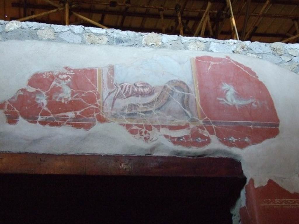 IX.12.9 Pompeii. March 2009. Room 14, west wall. Wall painting (of lobster and eel?) above door.