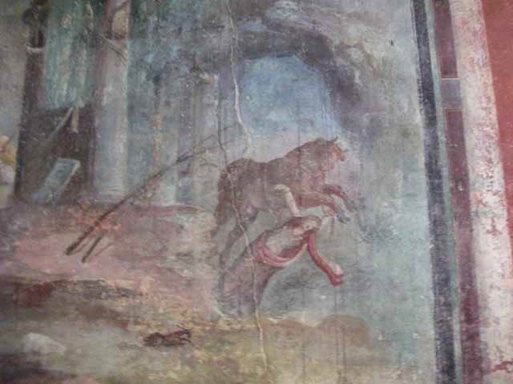 IX.13.1-3 Pompeii. May 2010. Room 13, detail from wall painting of Punishment of Dirce.