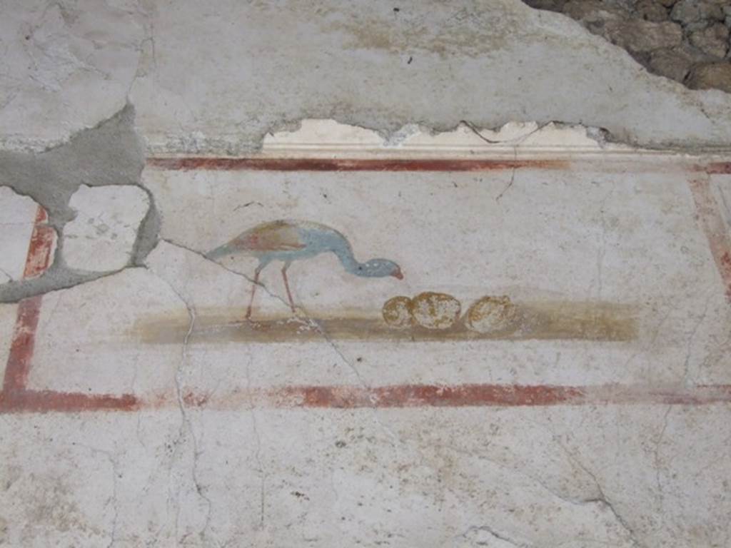 IX.13.1-3 Pompeii. March 2009. Room 9, upper level on north wall of north portico, between the doorways to rooms 11 and 10. Painting of bird and fruit.

