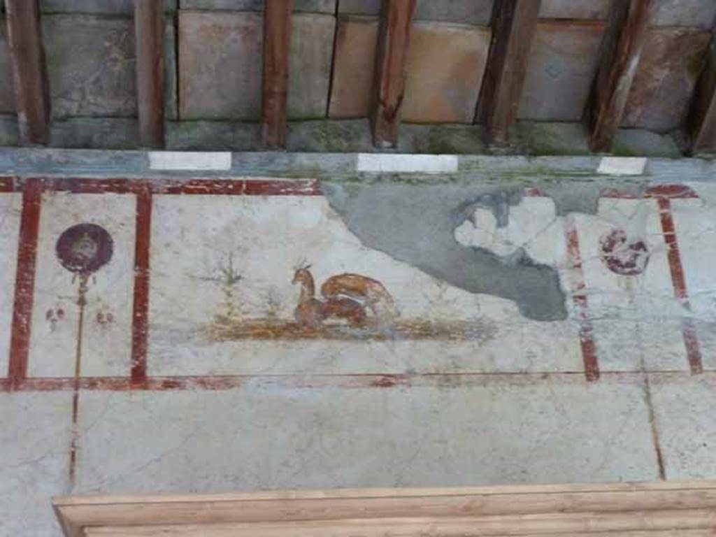 IX.13.1-3 Pompeii. May 2010.  Room 9, painting of deer on upper east wall.
