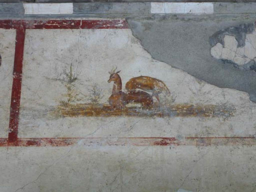 IX.13.1-3 Pompeii. May 2012.  Room 9, detail of painting of deer on upper east wall.
Photo courtesy of Buzz Ferebee.

