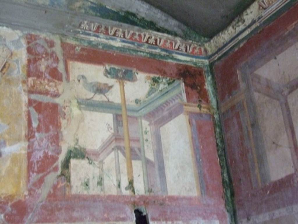 IX.13.1-3 Pompeii. March 2009. Room 17, architectural painting with bird on upper south wall.

 
