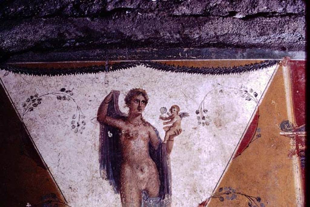 IX.13.1-3 Pompeii. 1972. Room 17, detail of painted figure from west wall. Photo by Stanley A. Jashemski. 
Source: The Wilhelmina and Stanley A. Jashemski archive in the University of Maryland Library, Special Collections (See collection page) and made available under the Creative Commons Attribution-Non Commercial License v.4. See Licence and use details. J72f0458
