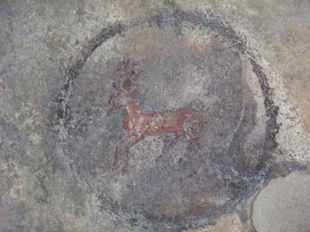 IX.13.1-3 Pompeii. May 2010.  Room 22, painted medallion of deer on west wall.