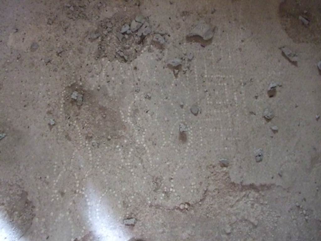IX.13.1-3 Pompeii. March 2009. Room 26, remains of decorated floor.