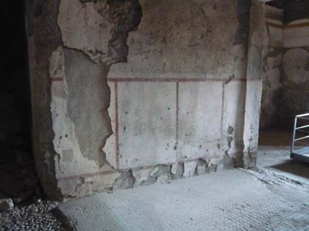IX.13.1-3 Pompeii. May 2012. Room 28, west wall. Photo courtesy of Buzz Ferebee.

