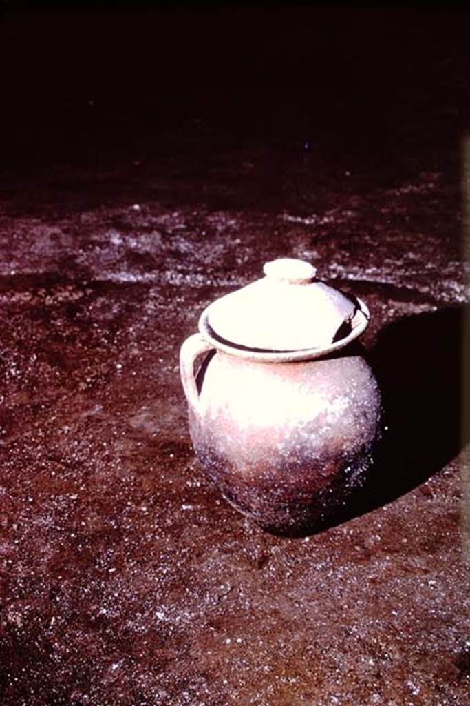 IX.13.1-3 Pompeii, 1973. Pot discovered in peristyle. Photo by Stanley A. Jashemski. 
Source: The Wilhelmina and Stanley A. Jashemski archive in the University of Maryland Library, Special Collections (See collection page) and made available under the Creative Commons Attribution-Non Commercial License v.4. See Licence and use details. J73f0643
