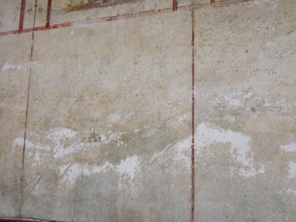 IX.13.1-3 Pompeii.  March 2009.  Room 9,  east wall.