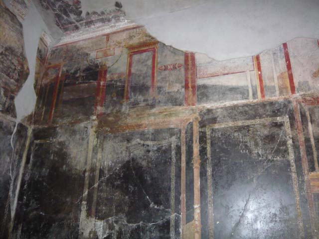 IX.13.1-3 Pompeii. May 2012.  Room 10, upper east wall at north end.
Photo courtesy of Buzz Ferebee.
