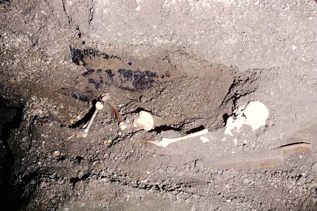 IX.13.1-3 Pompeii. May 2012.  Room 10, detail from east wall. Photo courtesy of Buzz Ferebee.
