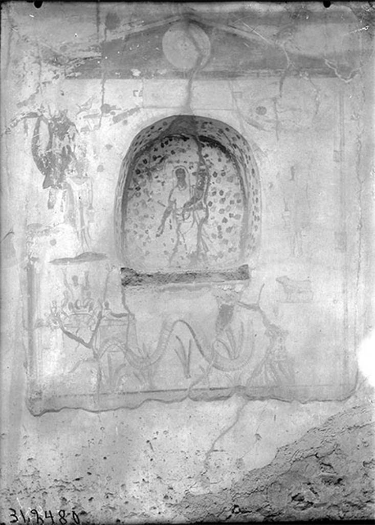 IX.14.4 Pompeii. 1931. South wall of kitchen, with painted niche.
DAIR 31.2480. Photo © Deutsches Archäologisches Institut, Abteilung Rom, Arkiv. 
See Boyce G. K., 1937. Corpus of the Lararia of Pompeii. Rome: MAAR 14. (p. 31, no. 68 & Pl.13, 2) 
