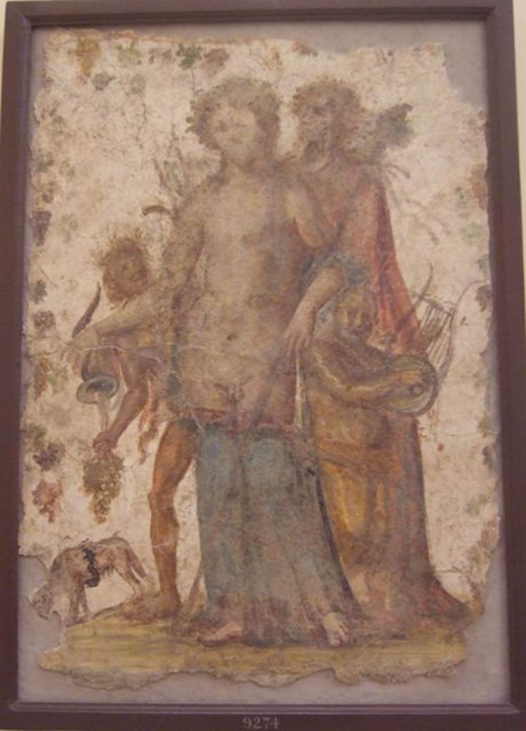 HGW06 Pompeii. Found 29th March 1749. Ambiente 1 of Villa of Cicero. 
Painting of Bacchus with cup and panther, Silenus with cithara and other figures.
Now in Naples Archaeological Museum. Inventory number 9274.
See Pagano, M. and Prisciandaro, R., 2006. Studio sulle provenienze degli oggetti rinvenuti negli scavi borbonici del regno di Napoli. Naples: Nicola Longobardi. (p.13).
Kuivalainen comments –
A somewhat effeminate and naked Bacchus; the rhyton is a less customary attribute. The panther is also unusual both in his appearance and by the way he is lapping his wine up from the ground. The composition is full of small anomalies.
See Kuivalainen, I., 2021. The Portrayal of Pompeian Bacchus. Commentationes Humanarum Litterarum 140. Helsinki: Finnish Society of Sciences and Letters, (F16, p.171-2). 
