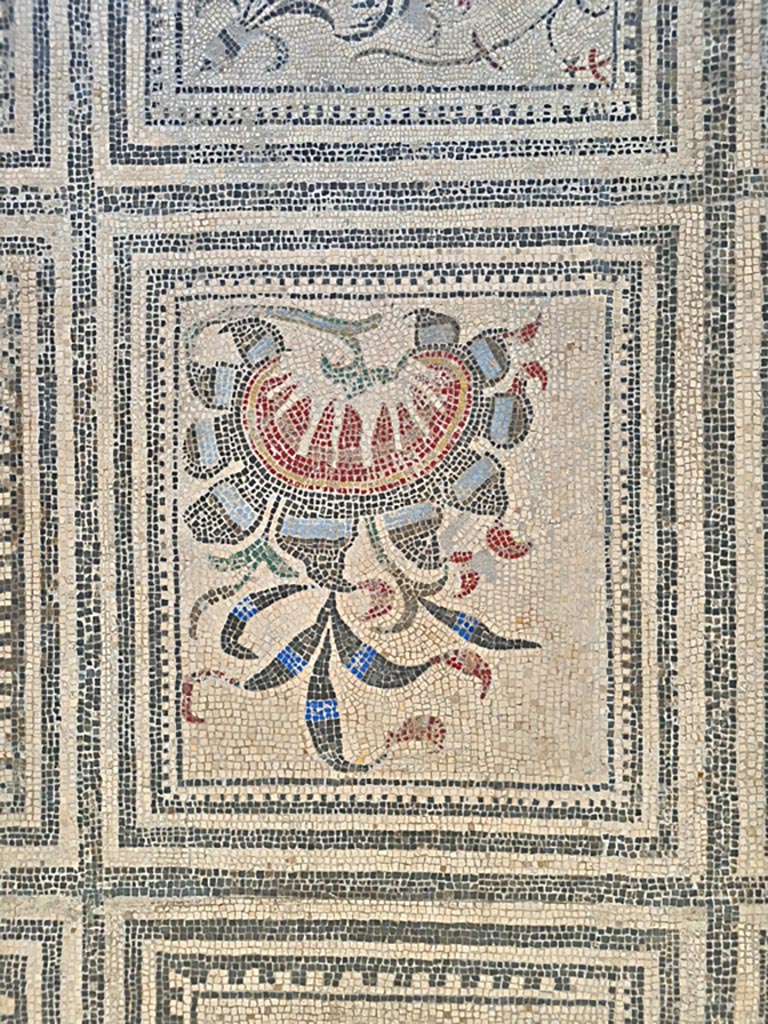 Villa of Diomedes ? or VI 17.10 Pompeii ?. June 2024.  
Detail from one of the colourful mosaic panels in the centre of floor in room CXXXIV (134) of Naples Archaeological Museum. 
Photo courtesy of Giuseppe Ciaramella 
