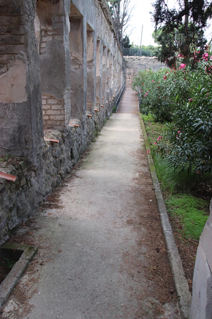 Villa of Diomedes, Pompeii. October 2023. 
Looking west in garden along the south portico. Photo courtesy of Klaus Heese.
