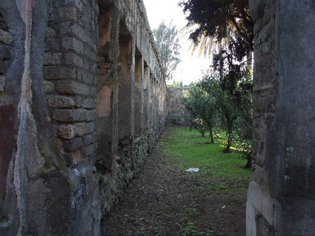 HGW24 Pompeii. December 2006. Looking West in garden along the South portico. 