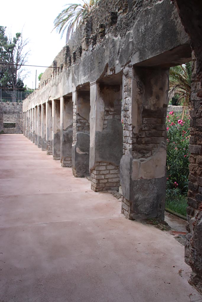 Villa of Diomedes, Pompeii. October 2023. 
Looking west along north side of portico. Photo courtesy of Klaus Heese.
