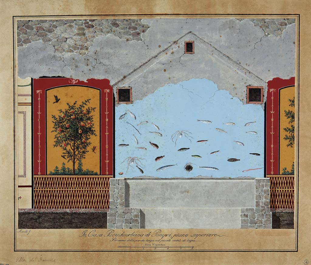 HGW24 Pompeii. Painting by Francesco Morelli of garden painting with fishes on wall in baths area 3 over the frigidarium pool. 
Now in Naples Archaeological Museum. Inventory number ADS 1144.

