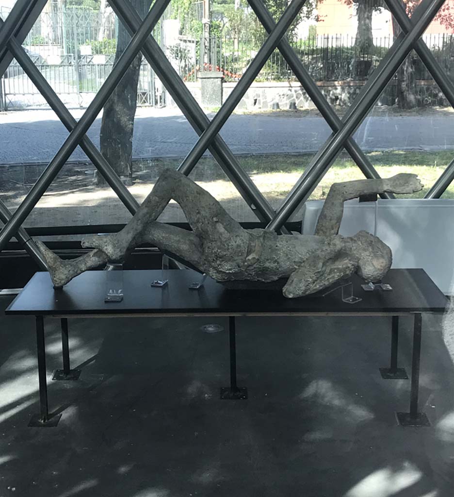 Piazza Anfiteatro. Pompeii. May 2018. Mystery plaster-cast on display in exhibition centre. Photo courtesy of Buzz Ferebee.
According to Maiuri, one of the two plaster-casts taken in the excavation of the Palaestra (1933, and 1935-39) was the 
“the handsome body of a young man, one of those strong, agile young men from Campania, with athletic legs just made for running and for the last gasp of the race”.  The victim had been identified as an athlete, also because of the discovery near his body of bronze strigils, usually used by gymnasts”
See Guzzo, P. (ed), (2003). Tales from an eruption. Milano, Electa. (p.143, article by Tiziana Rocco.
(Our comment: With his beautiful muscled legs, we are wondering if this was the other plaster-cast taken in the Palaestra by Maiuri, and described as “a man still appearing to be running, even in death”.)

(Estelle Lazer's, (the expert on plaster-casts) answered:
This cast is a bit of a mystery.  I have spoken to several people about it and no one seems to know when it was cast or where it came from.
It was stored in the church in Pompeii and came back to the site when the cast restoration project started in 2015. 
We have x-rayed it extensively.  It has what appears to be a complete skeleton and appears to be intact. 
I will certainly let you know if I can manage to find out more about it.) 

According to Garcia y Garcia, with regards to plaster casts that were shown in the antiquarium prior to the 1943 bombing, they perhaps were either destroyed, or are now located elsewhere.
See Garcia y Garcia, L., 2006. Danni di guerra a Pompei. Rome: L’Erma di Bretschneider, (p.194).

(Comment: we would love to find out what happened to the Maiuri plaster-cast, was it in the Antiquarium when it was bombed in 1943?, or had it already been sent to the Pompeii church for storage?, surely such a beautiful plaster-cast would have been displayed ? Please feel free to make a comment on this mystery.)

