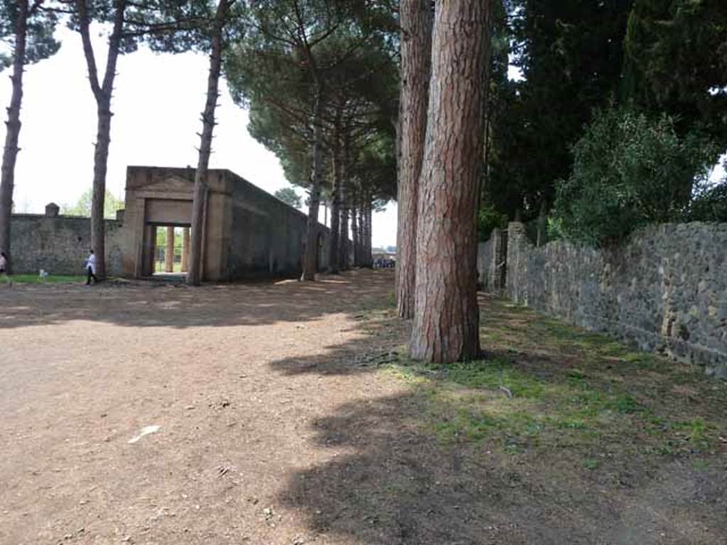 Piazzale Anfiteatro. May 2010. Looking west towards Grand Palestra, Via di Castricio between the trees, and rear of insula II.4.