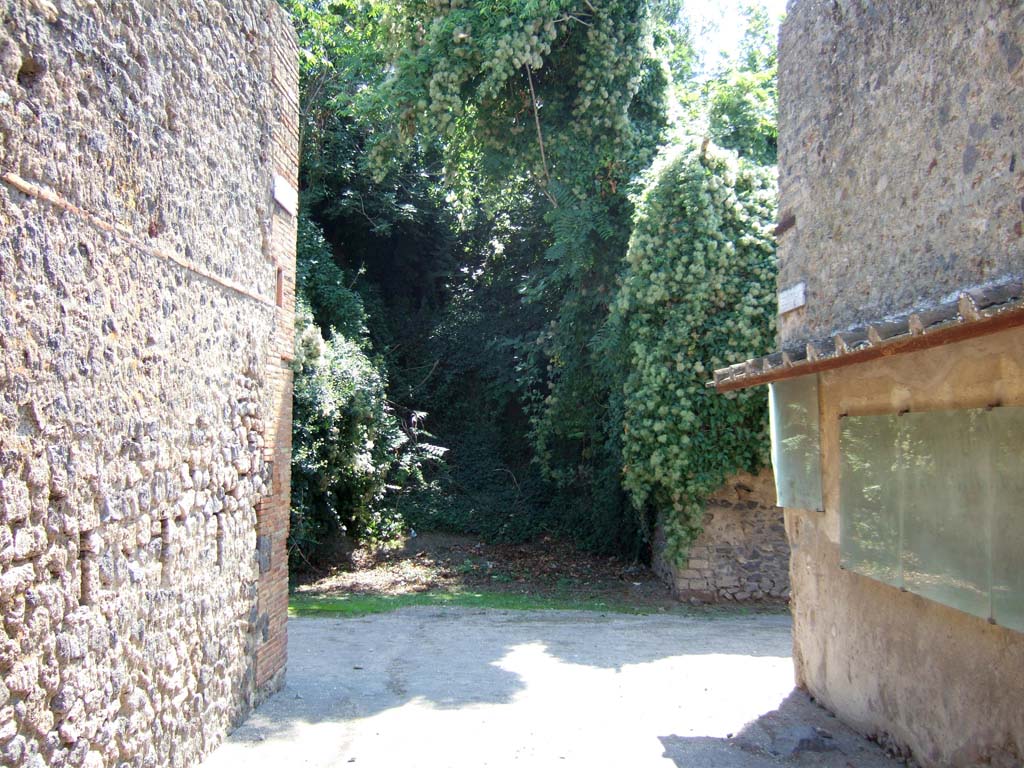 Unnamed vicolo. September 2005. 
Looking south across junction to unnamed unexcavated vicolo. Taken from Vicolo dell’ Efebo between I.8 and I.7. 
