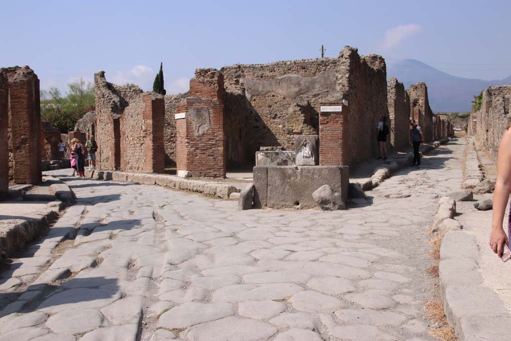 Via Consolare, on left, Pompeii. April 2019. 
Looking north towards fountain at junction with Via Consolare and Vicolo di Modesto, on right.
Photo courtesy of Rick Bauer.

