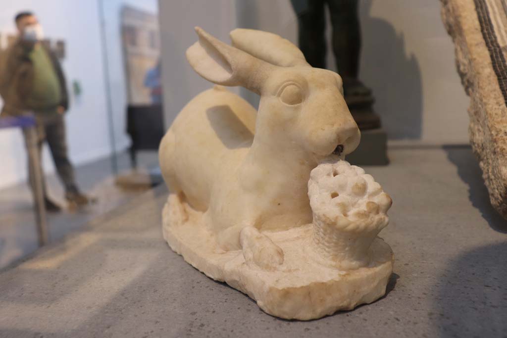 Via del Vesuvio, Pompeii. February 2021. 
Marble rabbit, found in front of a fountain in V.6.7, on display in Antiquarium. Photo courtesy of Fabien Bièvre-Perrin (CC BY-NC-SA).
See Kuivalainen, I., 2021. The Portrayal of Pompeian Bacchus. Commentationes Humanarum Litterarum 140. Helsinki: Finnish Society of Sciences and Letters, D16: p. 138.
