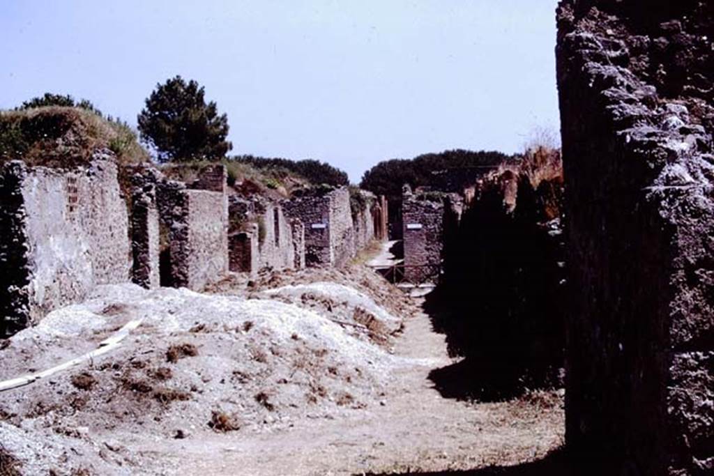 Via della Palestra. Pompeii. 1972. Looking east between I.14 and I.20. Photo by Stanley A. Jashemski. 
Source: The Wilhelmina and Stanley A. Jashemski archive in the University of Maryland Library, Special Collections (See collection page) and made available under the Creative Commons Attribution-Non Commercial License v.4. See Licence and use details. J72f0589
