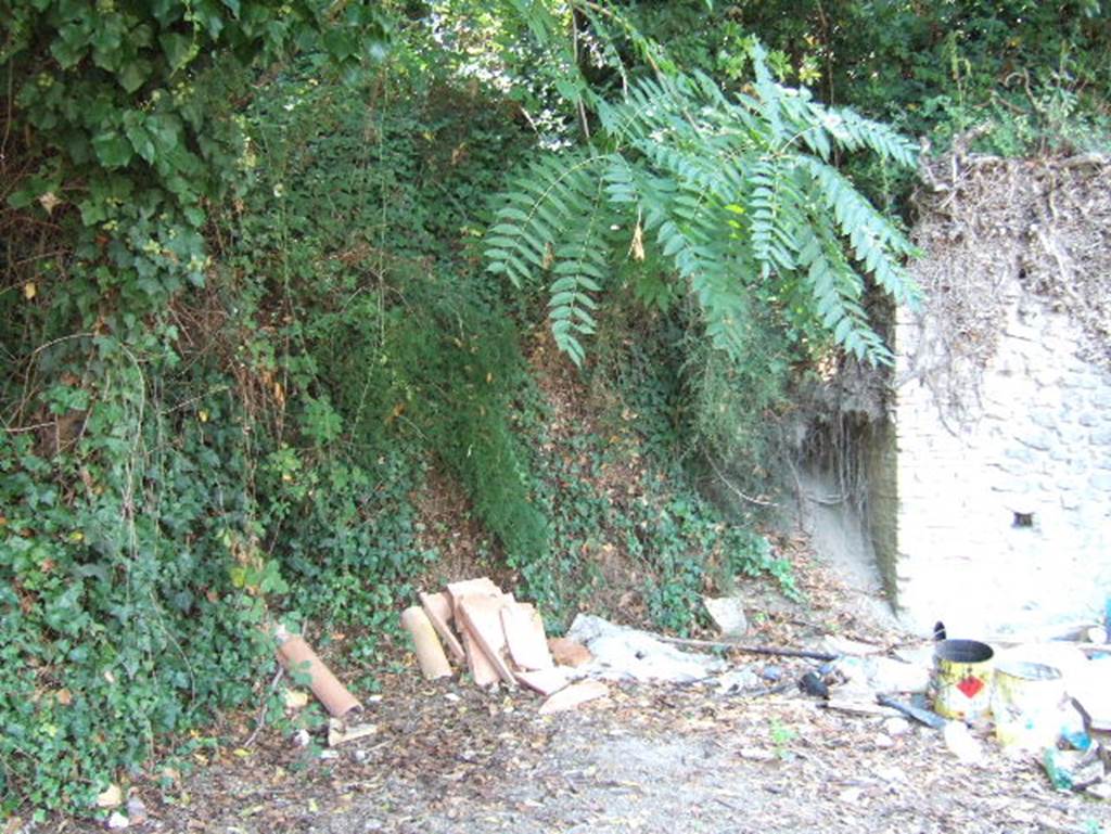 Unexcavated vicolo at west end of Via della Palestra. Looking west at south end of I.17. September 2005.