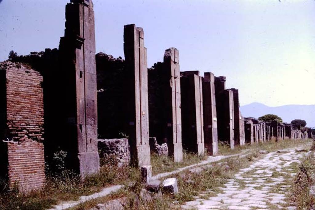 Via di Nola, Pompeii, north side. 1964. Looking east along V.1 from near V.1.2.   Photo by Stanley A. Jashemski.
Source: The Wilhelmina and Stanley A. Jashemski archive in the University of Maryland Library, Special Collections (See collection page) and made available under the Creative Commons Attribution-Non Commercial License v.4. See Licence and use details.
J64f1094

