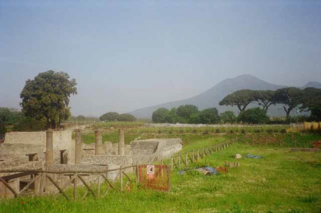 IX.14 Pompeii. May 2010. Looking north along site of unnamed unexcavated vicolo, between IX.14 and III.8, from the rear of the insula.Photo courtesy of Rick Bauer.
