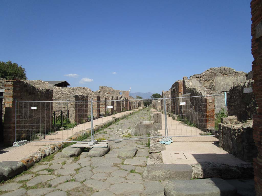 Via di Nola, Pompeii. April 2019. Looking east.
This photo was taken between V.3 and IX.8, from junction with Vicolo dei balconi, on left, and Vicolo del Centenario, on right.
There was no access to the Via di Nola past this point. Photo courtesy of Rick Bauer.
The above photo, and the one above this, show the problem of weed-growth at Pompeii. 
The photos, taken within a very few short weeks apart, show how quickly the weeds grow and do their damage.
However, this is not a new problem, see the photo dated 7th August 1976, in the previous part of this web-site, entitled -
(Via di Nola, 7th August 1976. Looking west from near IX.8.7, on left.
Photo courtesy of Rick Bauer, from Dr George Fay’s slides collection.)

