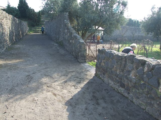 Vicolo dei Fuggiaschi, west side, December 2005. Looking south from I.21.6 the garden of the fugitives. 
