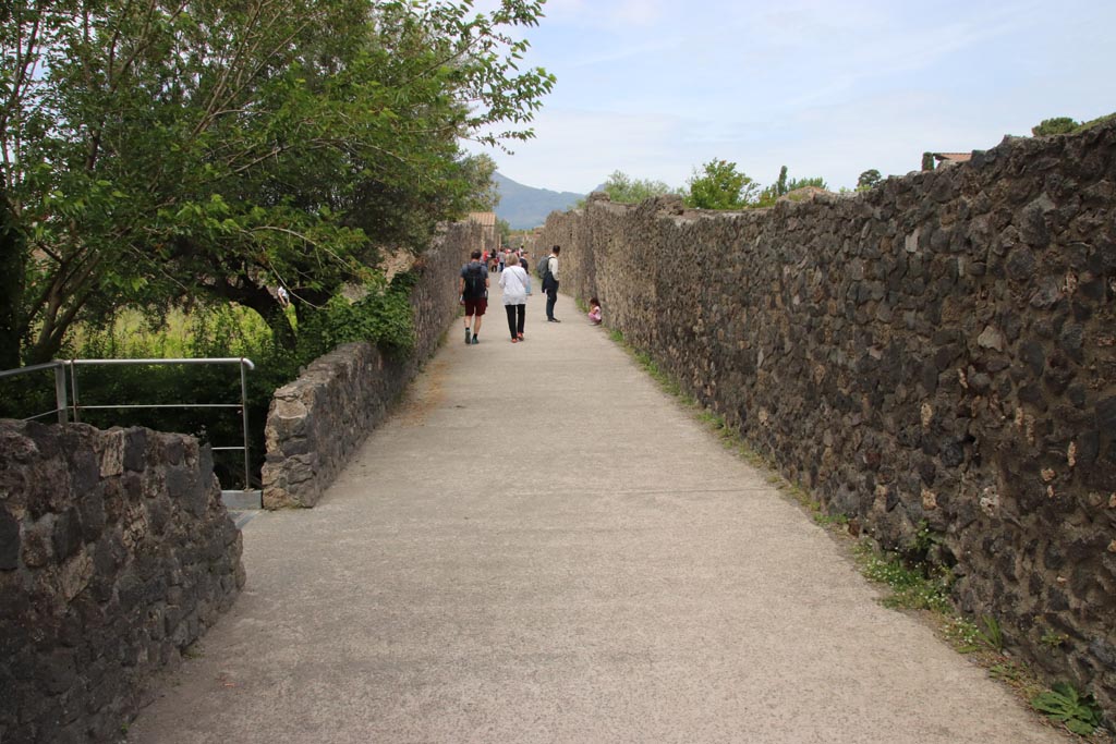 Vicolo dei Fuggiaschi. May 2024. 
Looking north from between I.21 and I.20, from near the garden of the fugitives, on left. Photo courtesy of Klaus Heese.
