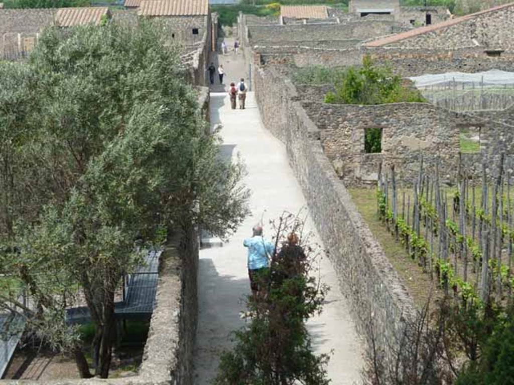 Vicolo dei Fuggiaschi. May 2010. Looking north from above the vicolo I.21 and I.20.