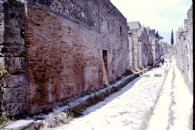Vicolo dei Vettii, Pompeii, between VI.13 and VI.14. 1964. Looking north along west side. Photo by Stanley A. Jashemski.  
Source: The Wilhelmina and Stanley A. Jashemski archive in the University of Maryland Library, Special Collections (See collection page) and made available under the Creative Commons Attribution-Non Commercial License v.4. See Licence and use details.
J64f1863
