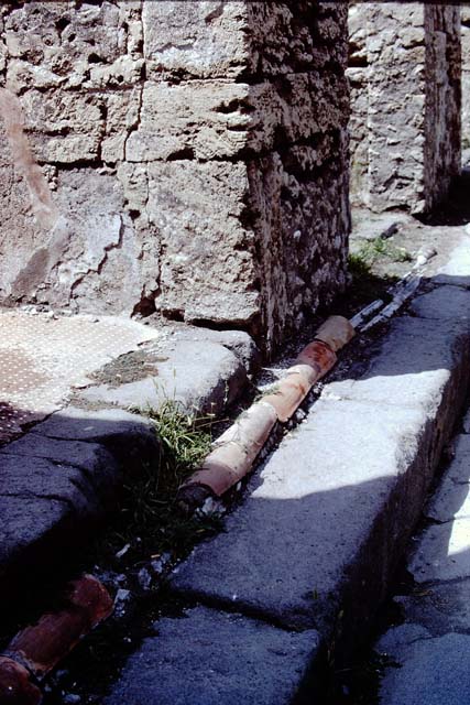 Vicolo dei Vettii outside VI.13.13 and VI.13.14, Pompeii, showing lead pipes in pavement. 1968.  Photo by Stanley A. Jashemski.
Source: The Wilhelmina and Stanley A. Jashemski archive in the University of Maryland Library, Special Collections (See collection page) and made available under the Creative Commons Attribution-Non Commercial License v.4. See Licence and use details.
J68f2054

