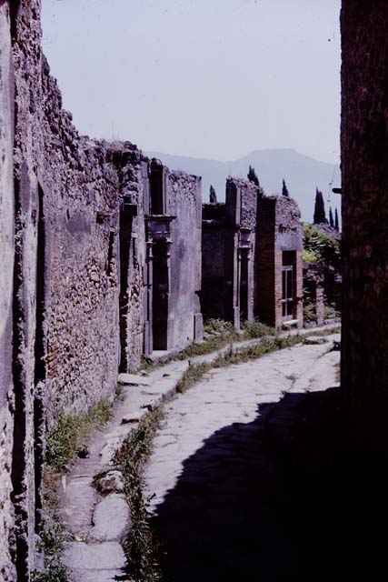 Vicolo del Lupanare between VII.1 and VII.11. Pompeii. 1964. Looking south. Photo by Stanley A. Jashemski.
Source: The Wilhelmina and Stanley A. Jashemski archive in the University of Maryland Library, Special Collections (See collection page) and made available under the Creative Commons Attribution-Non Commercial License v.4. See Licence and use details.
J64f1066
